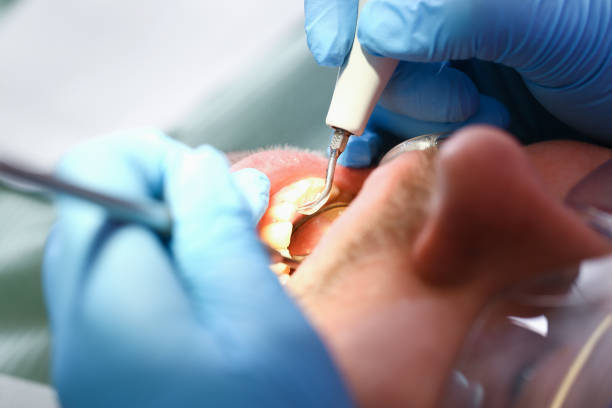 Best Emergency Orthodontic Repairs in Erwin, NC